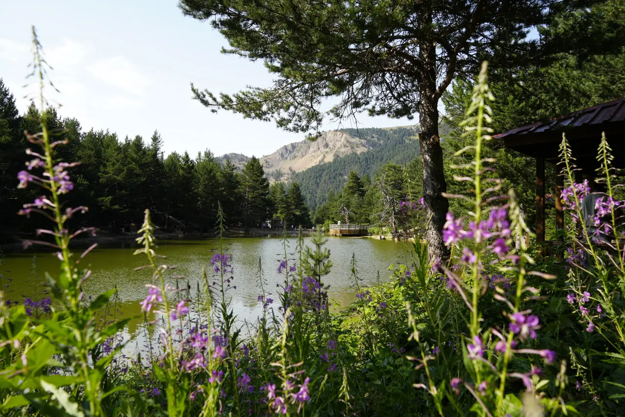 Tropikal sıcaklardan bunalanlar soluğu Limni Gölü’nde aldı #haberi, #haberleri, #Gümüşhane #haber