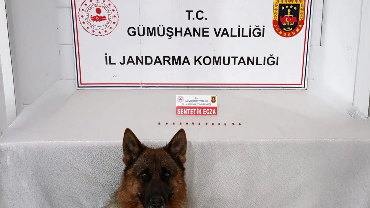 13 sentetik ecza ele geçirildi #haberi, #haberleri, #Gümüşhane #haber