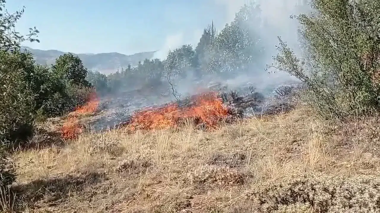 Gümüşhane’de çobanın yaktığı ateş yangına sebep oldu #haberi, #haberleri, #Gümüşhane #haber