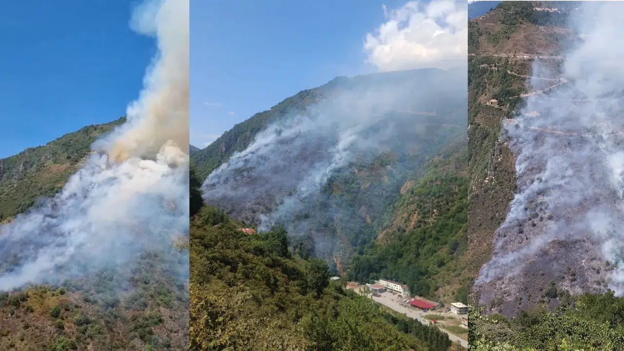 Gümüşhane’nin Kürtün ilçesinde yangın alarmı #haberi, #haberleri, #Gümüşhane #haber