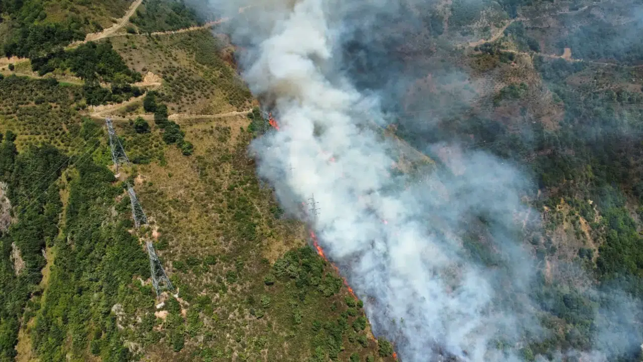 Gümüşhane’nin Kürtün ilçesindeki yangınla ilgili 1 kişi gözaltına alındı #haberi, #haberleri, #Gümüşhane #haber