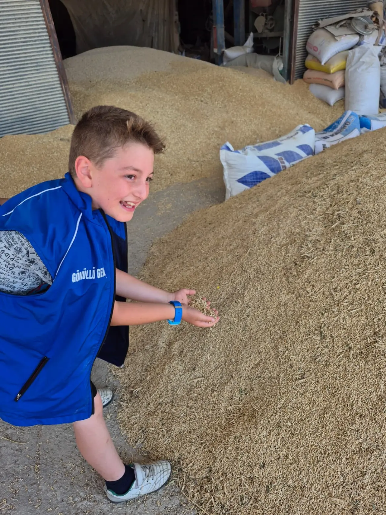 Kelkit Vadisinde gönüllü hasat etkinliği #haberi, #haberleri, #Gümüşhane #haber