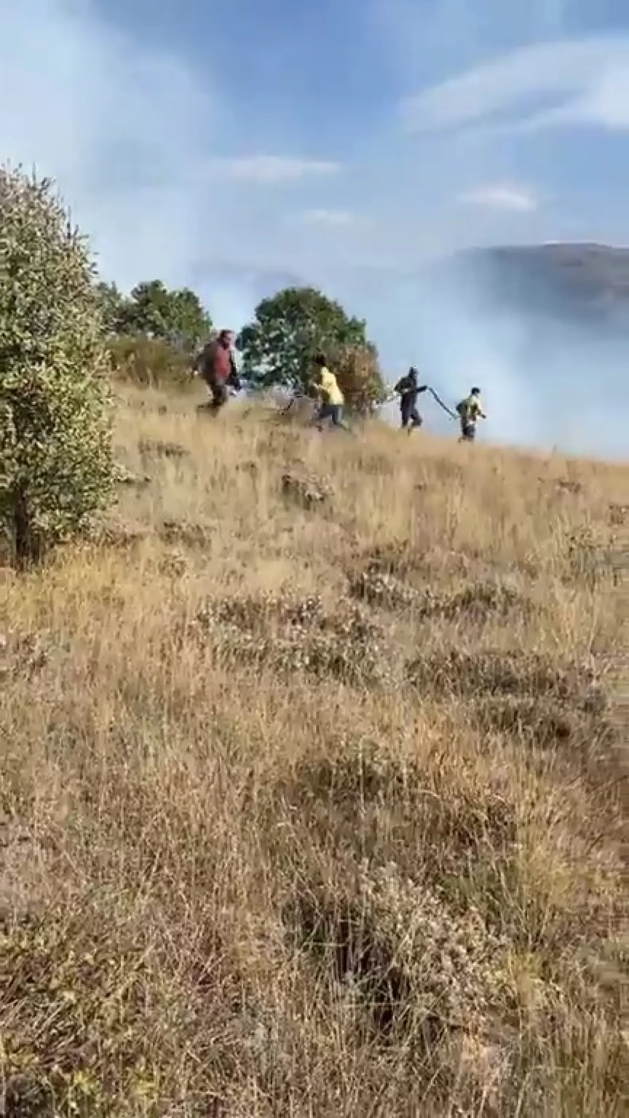 30 hektarlık alan küle döndü