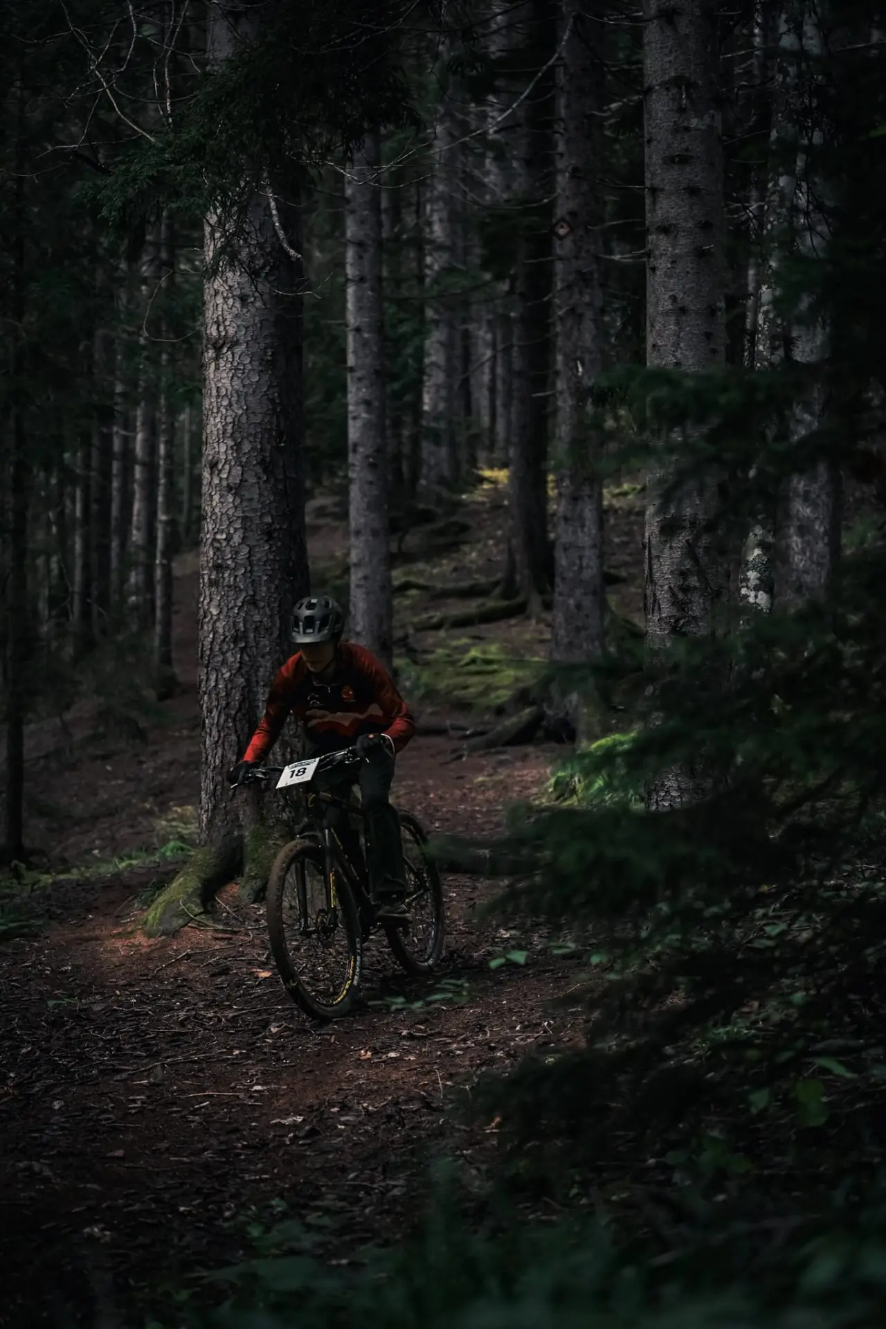 Bisiklet yarışlarında ilk madalyalar geldi