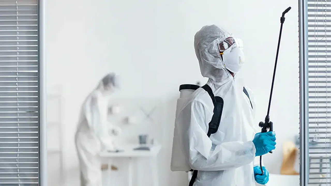 Fare İlaçlama ile Evde Güvenli Yaşamın Anahtarı