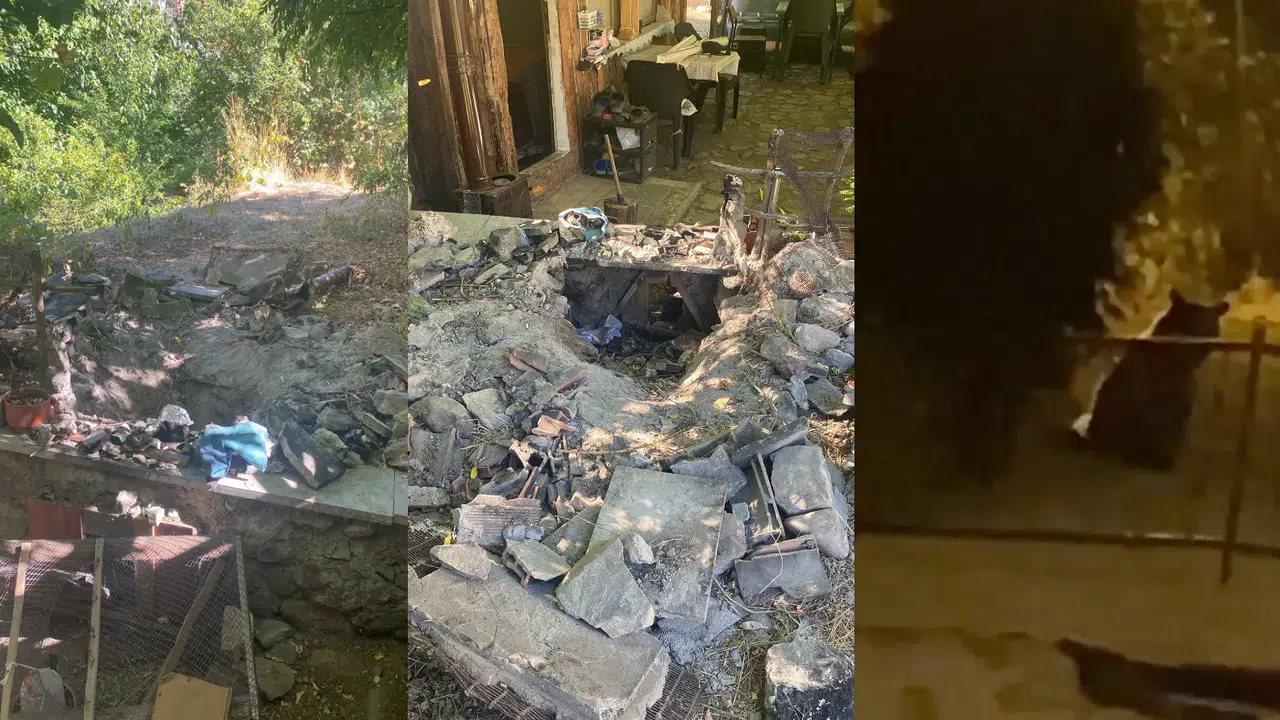 Gümüşhane’de mahalle sakinleri ayı korkusuyla yaşıyor #haberi, #haberleri, #Gümüşhane #haber