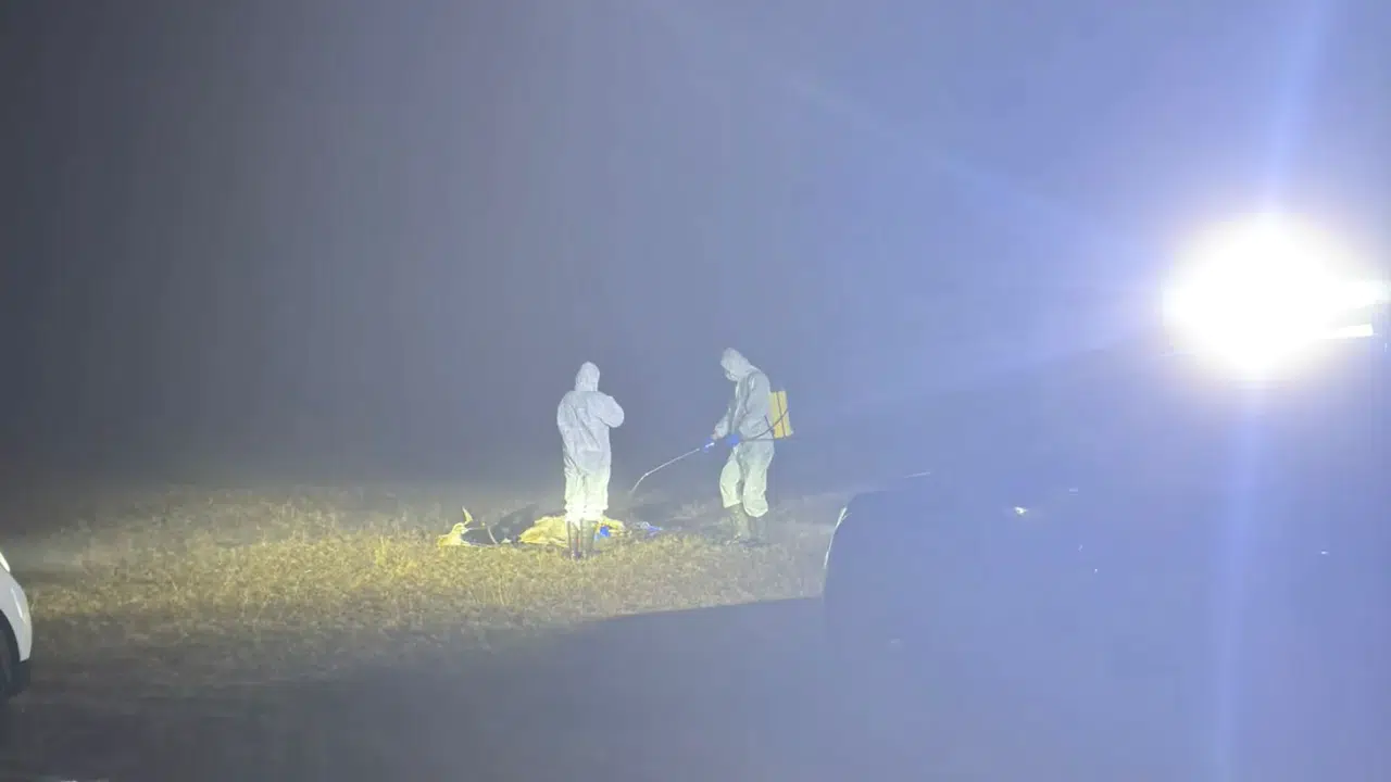 Kürtün’de 5 köy karantinaya alındı #haberi, #haberleri, #Gümüşhane #haber