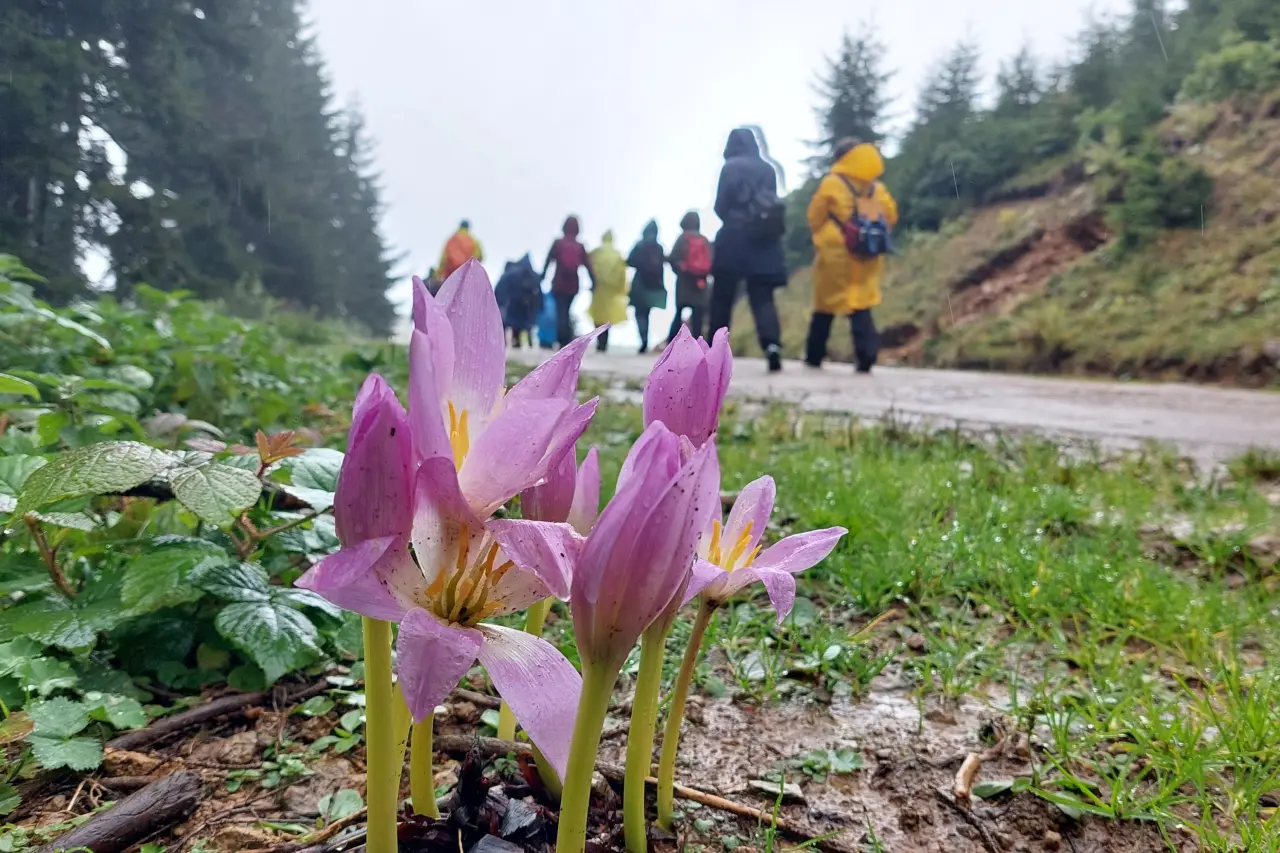 Sis denizi ve gün batımıyla Çetlüce yaylası dağcıların gözdesi oldu #haberi, #haberleri, #Gümüşhane #haber