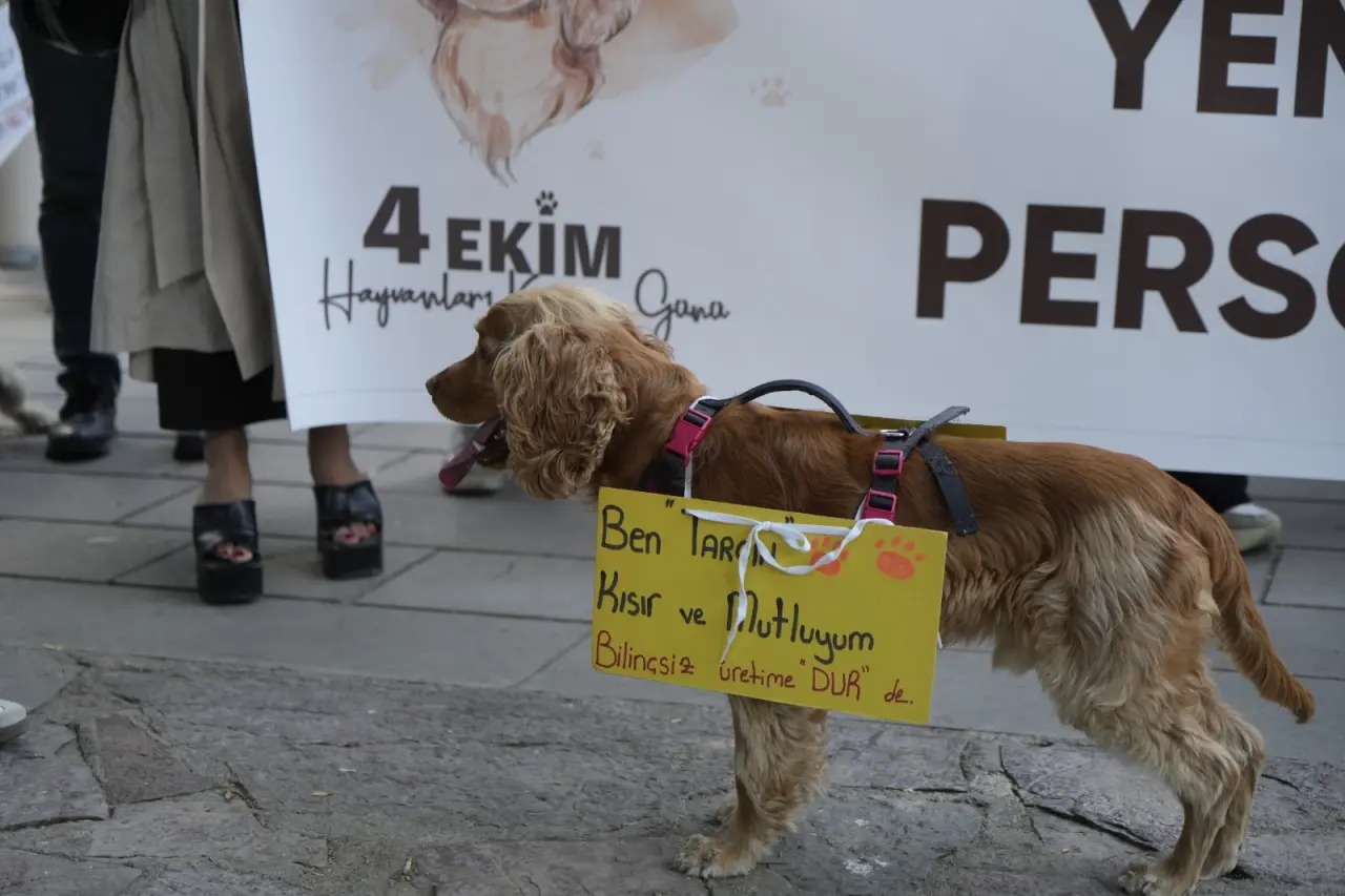 Gümüşhane’de Hayvanları Koruma Günü’nde anlamlı yürüyüş