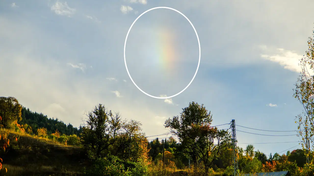 Gümüşhanelileri şaşırtan görüntü kameralara yansıdı