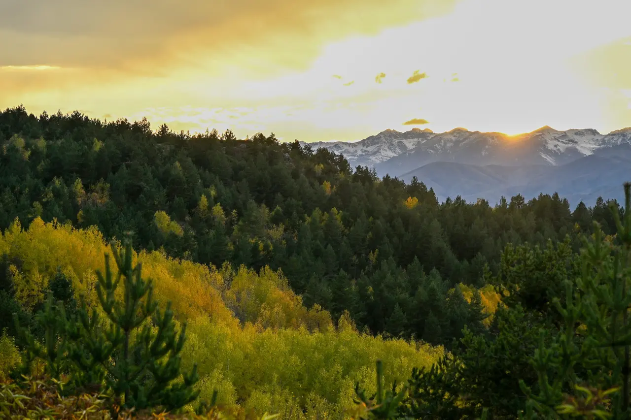 Gümüşhane’nin Alpleri aratmayan sonbahar güzelliği