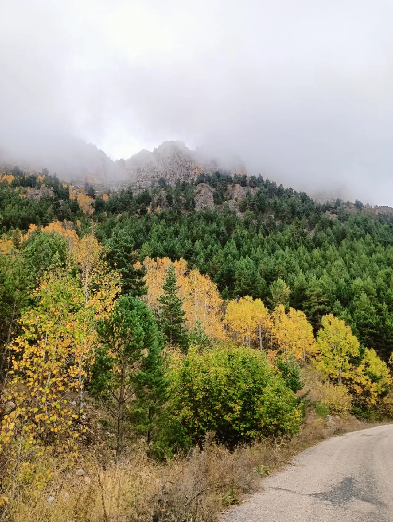 İzcilerden Doğanın Büyüsüne Ortak Ol yürüyüşü
