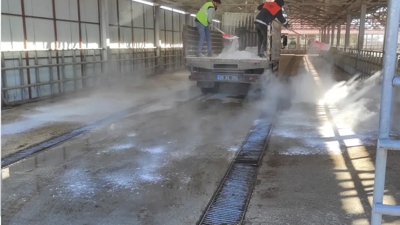 Kelkit Hayvan Pazarı 1 Kasım’da yeniden açılıyor