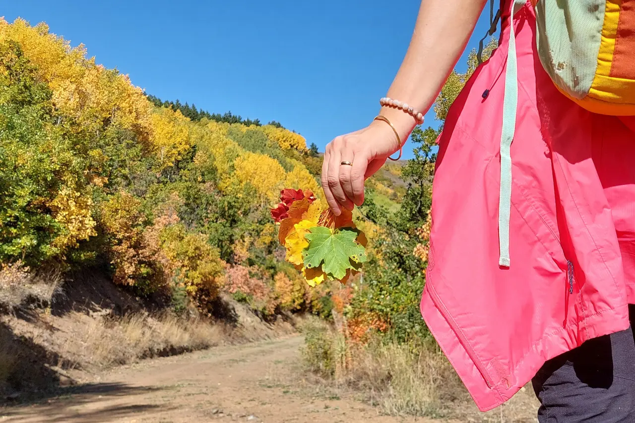 Sonbaharın Başkenti Gümüşhane renk cümbüşüne döndü