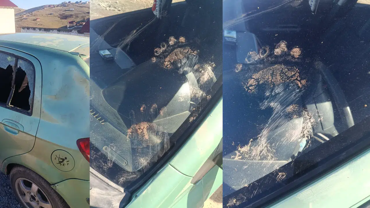 Gümüşhane’de ayı park halindeki araca saldırdı