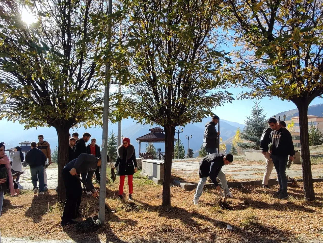 Gümüşhane Üniversitesi kampüsü lavanta kokacak