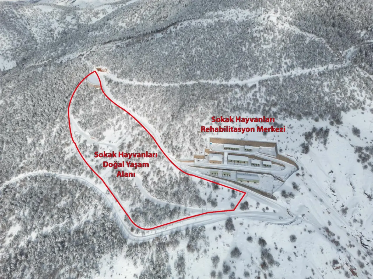 Barınak görüntüleri güncel değil, iddialar gerçek dışı