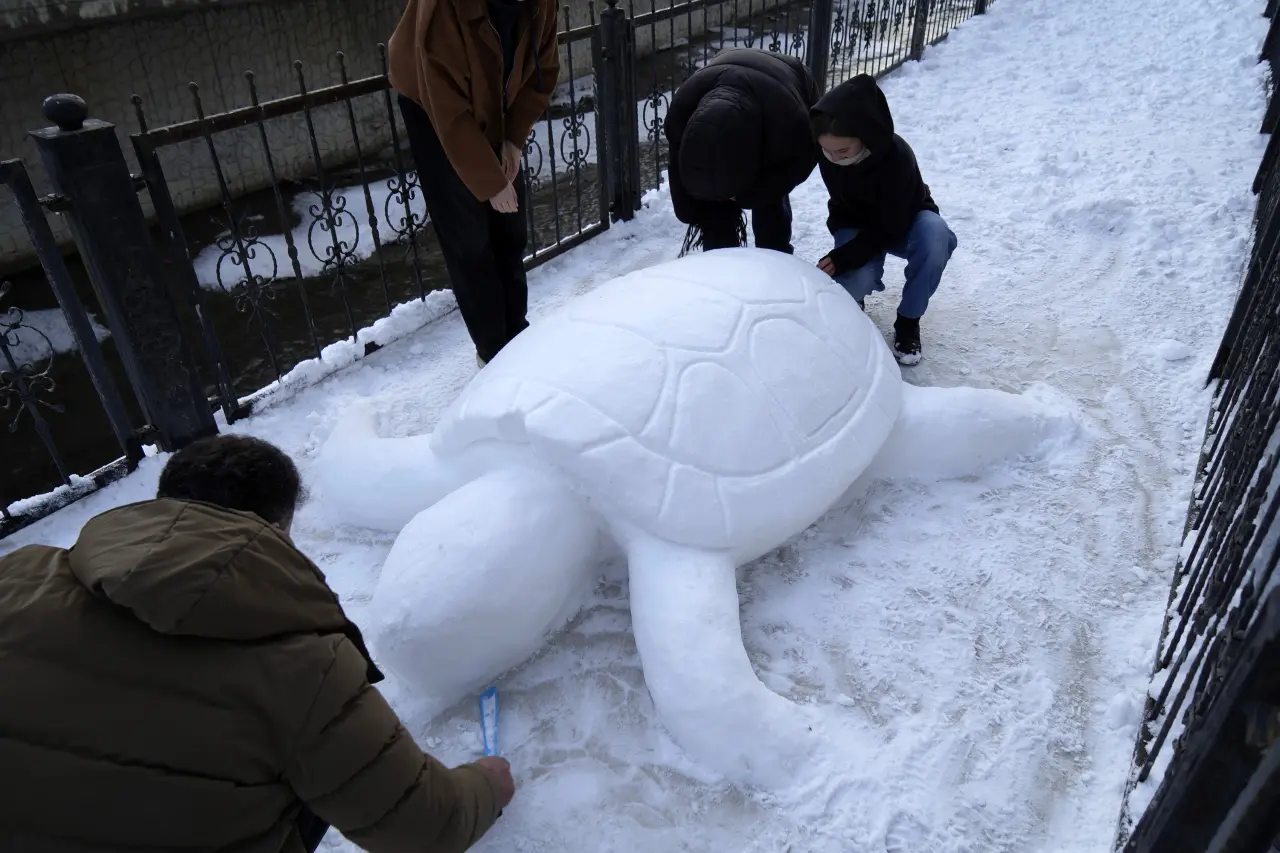 Gümüşhane’de kardan kaplumbağa ilgi odağı oldu