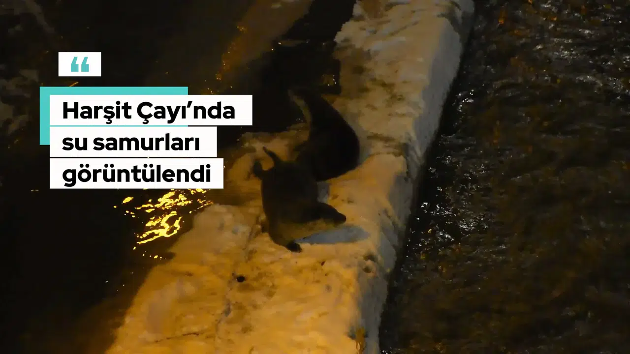 Harşit Çayı’nda karların üzerinde oyun oynarken yakalandılar