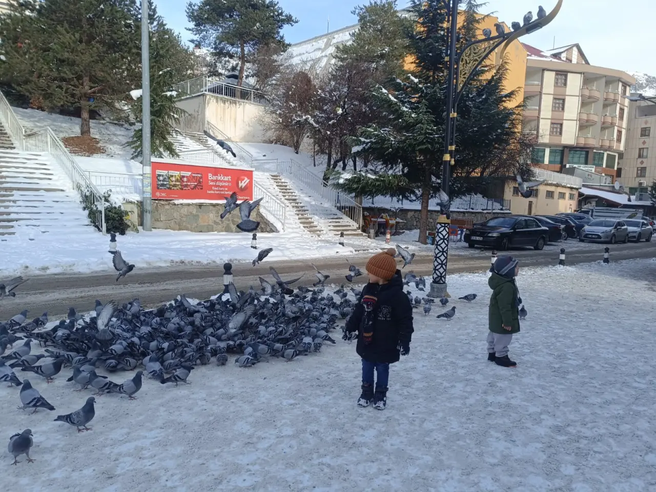 Ülkü Ocaklarından sokak hayvanlarına mama desteği