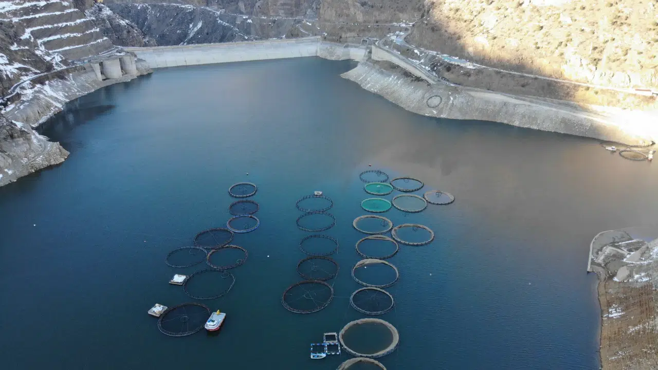 Denizi olmayan Gümüşhane’de alabalık üretimi 2 bin tona ulaştı