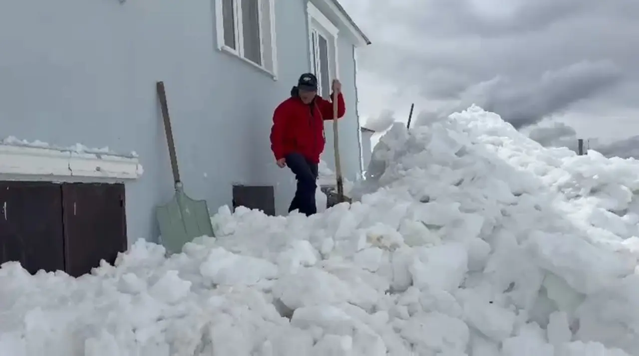 Ayılar bu kez kapıdan değil 2.katın penceresinden girdi!