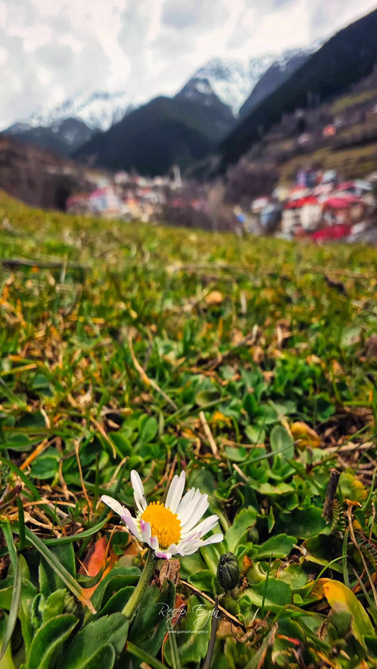 Gümüşhane’de baharın renkleri kışın beyazıyla kucaklaştı