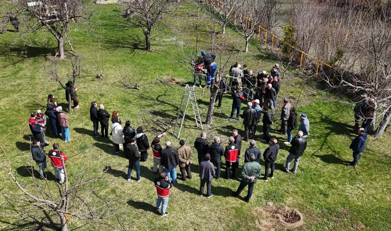 Gümüşhane’de meyve üreticilerine profesyonel budama eğitimi verildi