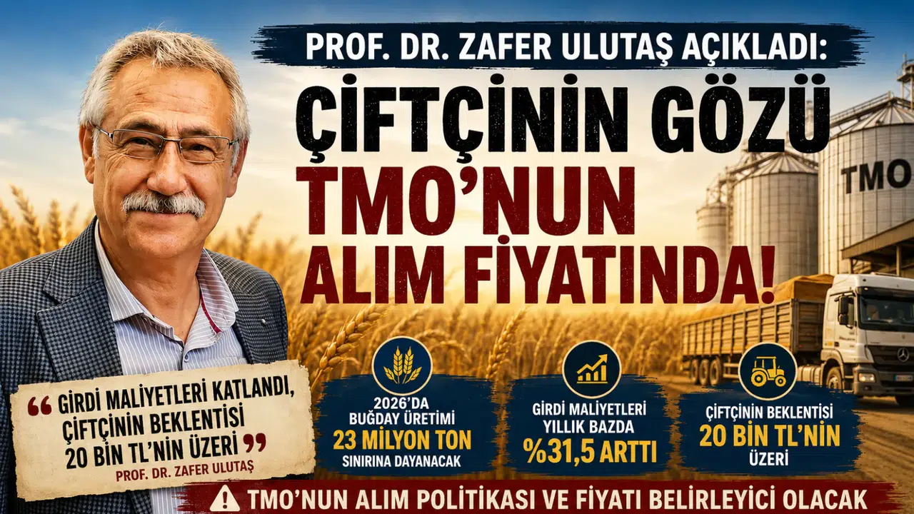 Çiftçinin Gözü TMO’nun Alım Fiyatında