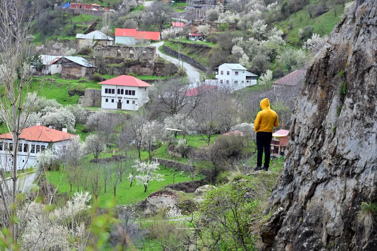 Kayaların göbeğinden altın gibi fışkırıyor: Görenler gözlerine inanamadı!