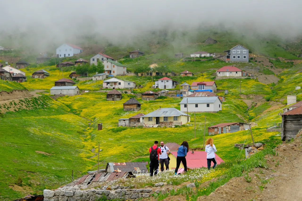 Çiçek Tarlasına Dönüşen Gümüşhane Yaylaları Hayran Bıraktı