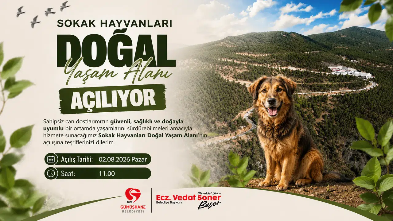 Sokak Hayvanları Doğal Yaşam Alanı açılıyor
