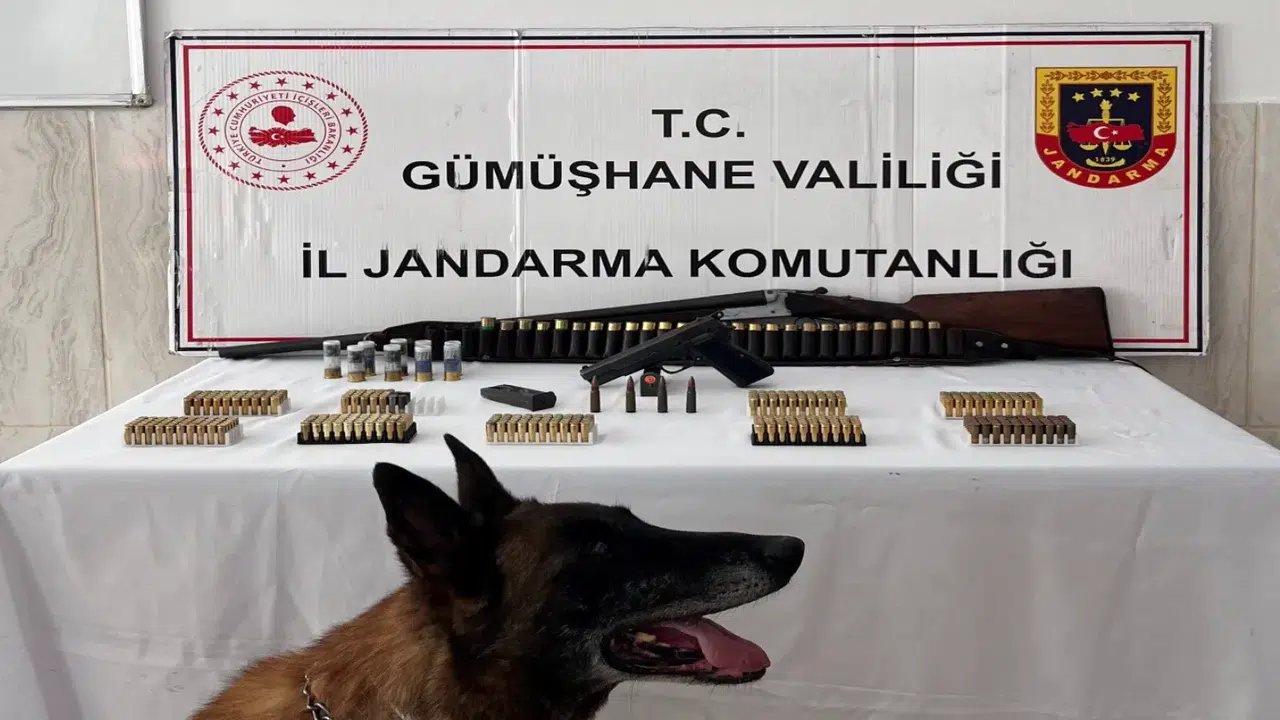 Gümüşhane’de ruhsatsız silah ve çok sayıda mühimmat ele geçirildi
