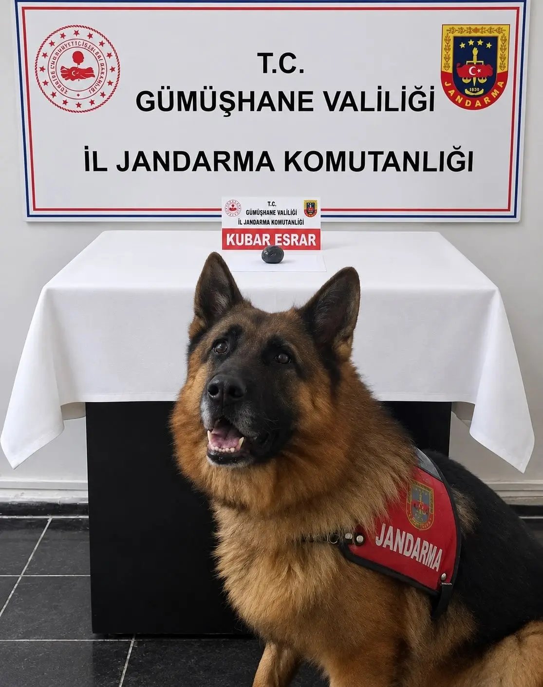Gümüşhane’de Jandarma Ekiplerinden Narkotik Operasyonu