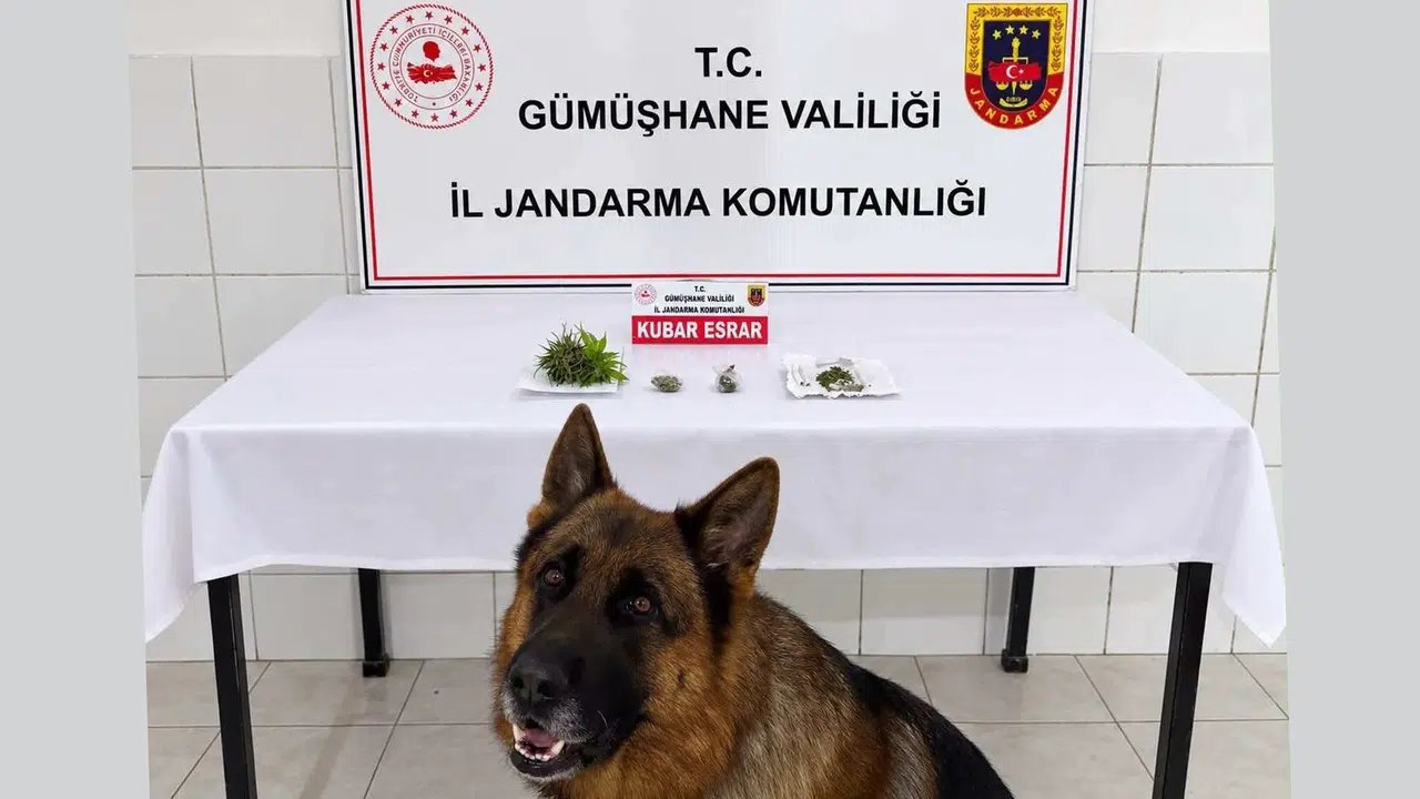 Söğütlü Beldesinde Uyuşturucu Operasyonu: Esrar Ele Geçirildi