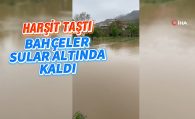 Harşit Çayı Taştı, Vatandaş Mağdur Oldu #haberi, #haberleri, #Gümüşhane #haber