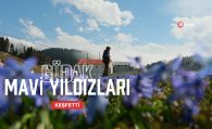 “Mavi Yıldız” çiçeklerini görmek için 11 kilometre yürüdüler #haberi, #haberleri, #Gümüşhane #haber