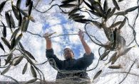 Mustafa Zengin, Karasu Fotoğraf Yarışmasından 2 ödülle döndü #haberi, #haberleri, #Gümüşhane #haber