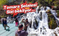 Tomara #haberi, #haberleri, #Gümüşhane #haber